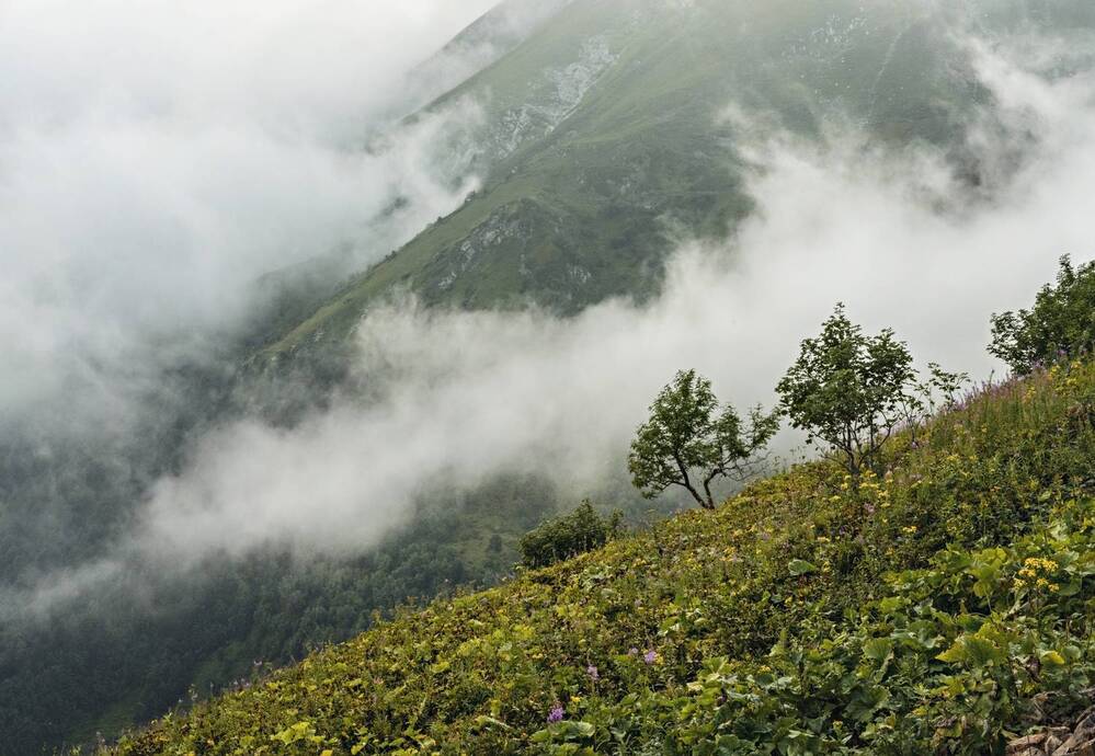 Photograph by Елена Гоосен