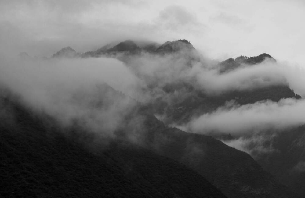 Фотография автора Маргарита Гиршфельд