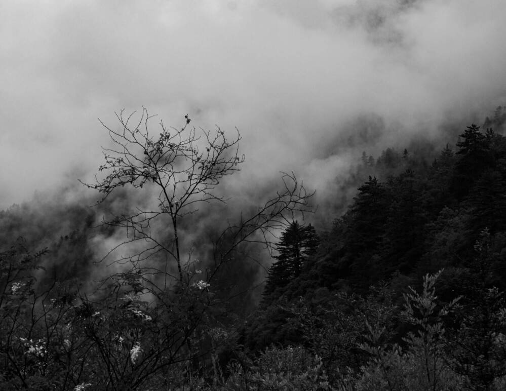 Фотография автора Маргарита Гиршфельд