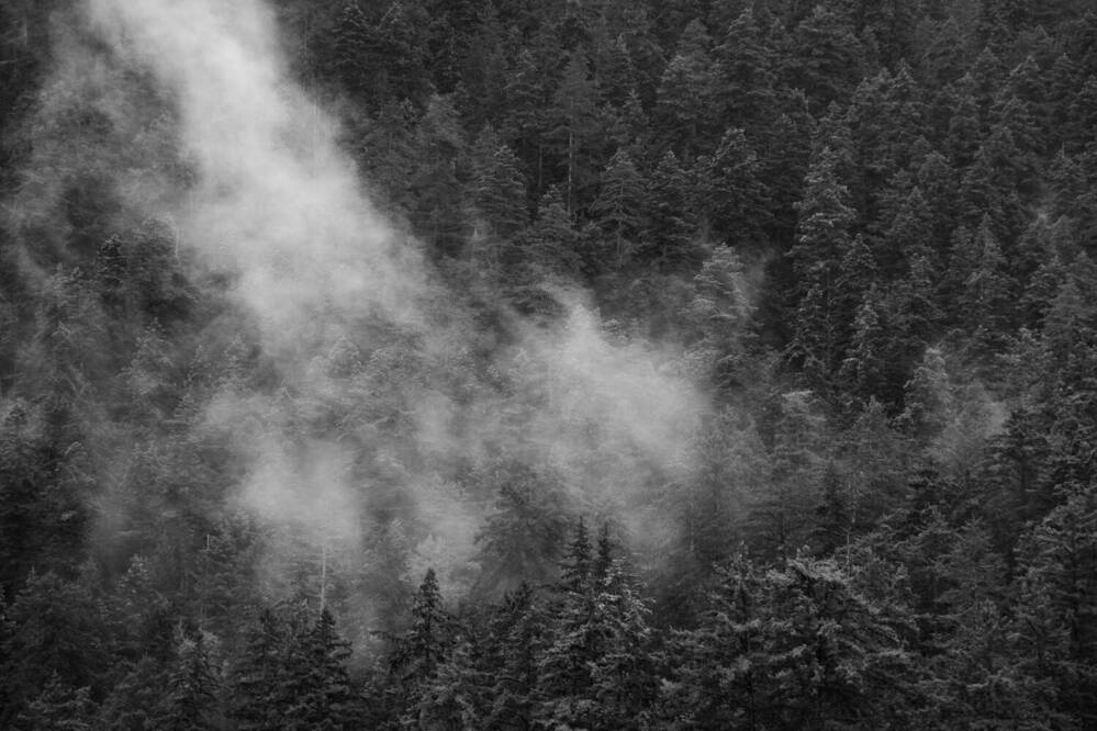 Фотография автора Маргарита Гиршфельд