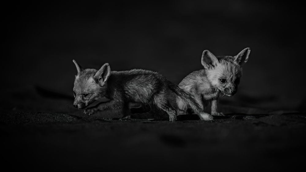 Photograph by Maitham Al Lawati