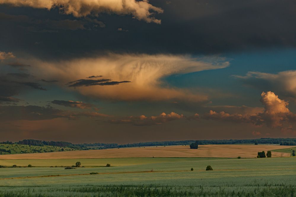 Photograph by Владимир Андреев