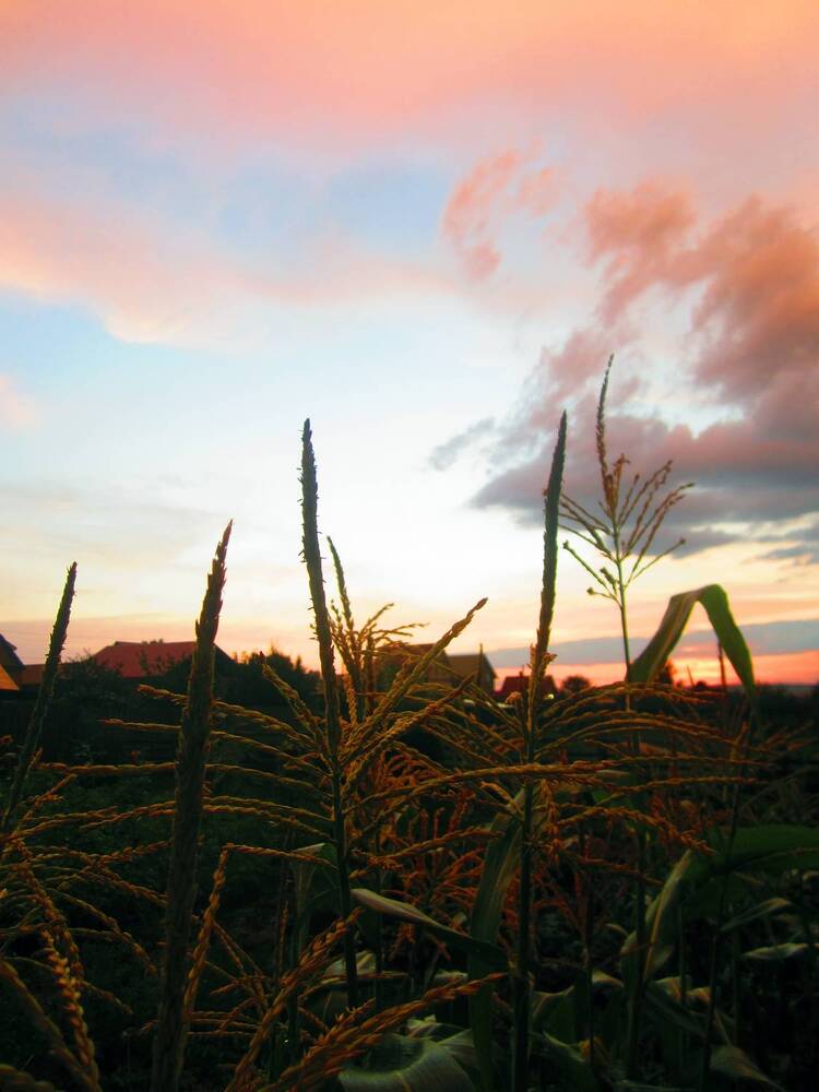 Photograph by Алексей Банных