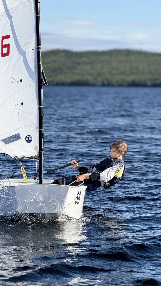 Photograph by Алина Камбулина