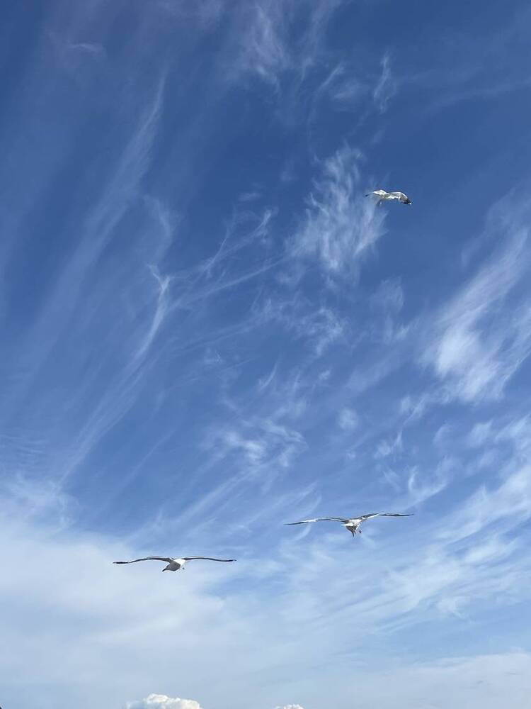 Photograph by Дарья Домбровская