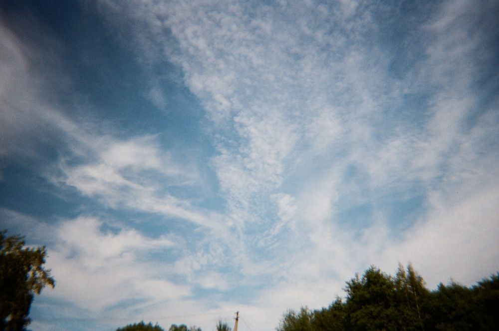 Photograph by Дарья Домбровская
