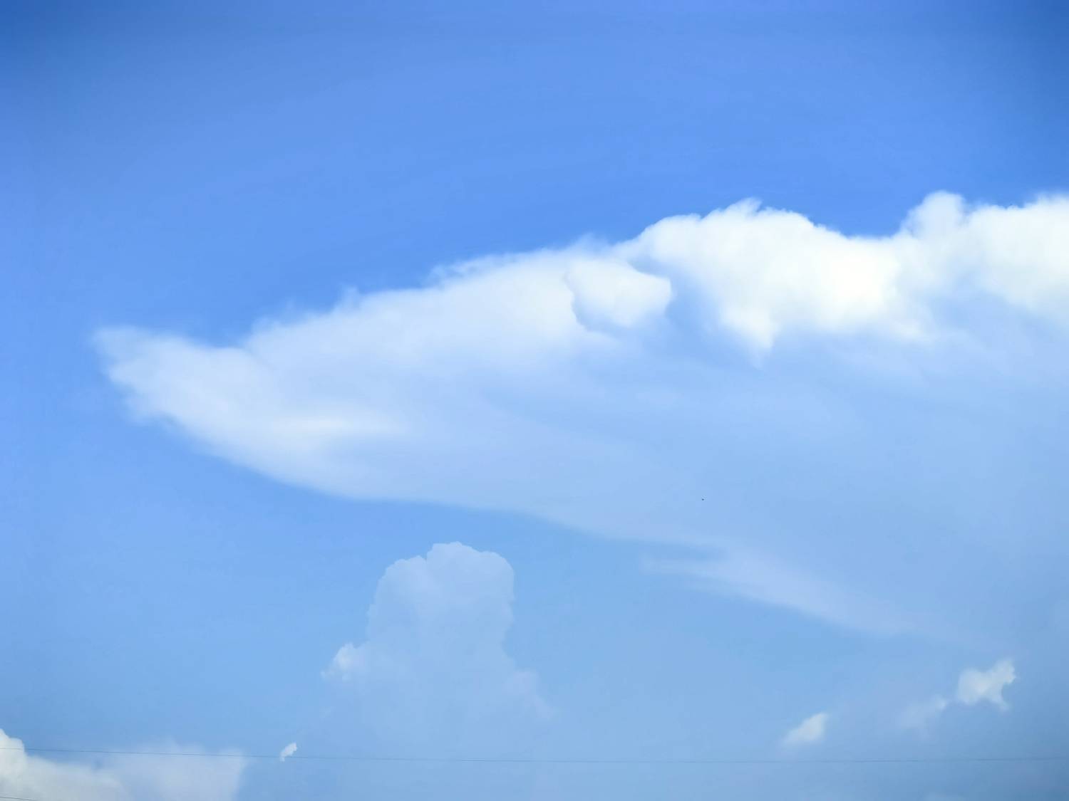 Photo #12528721