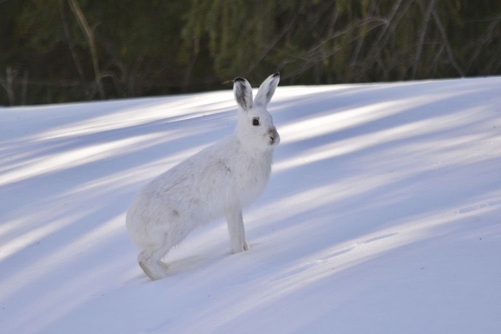 Photograph by Галина Катанова
