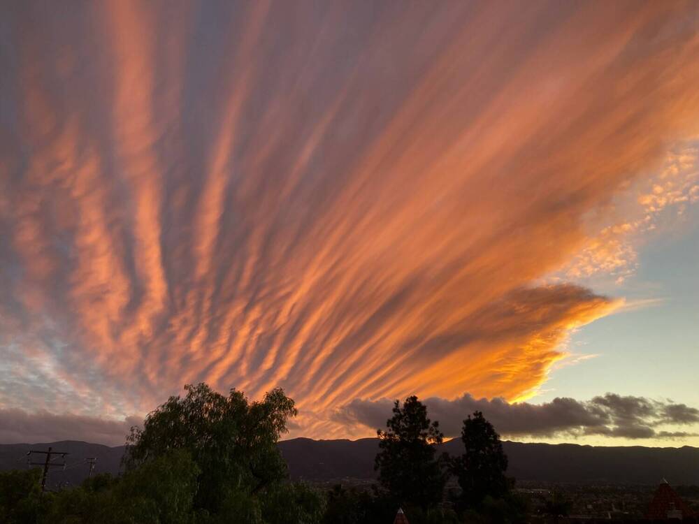 Photograph by Елена