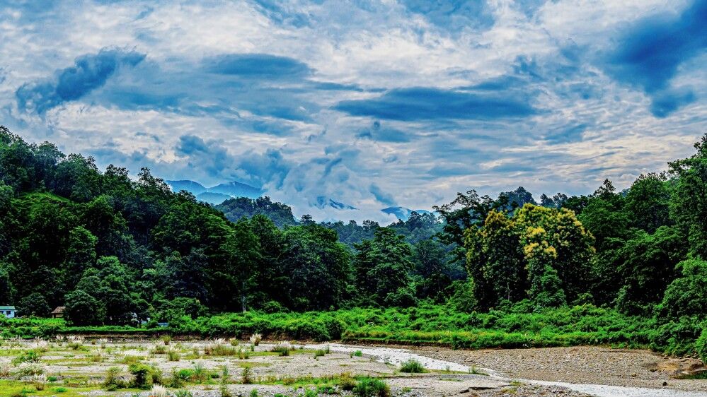 Фотография автора savitri Rawat