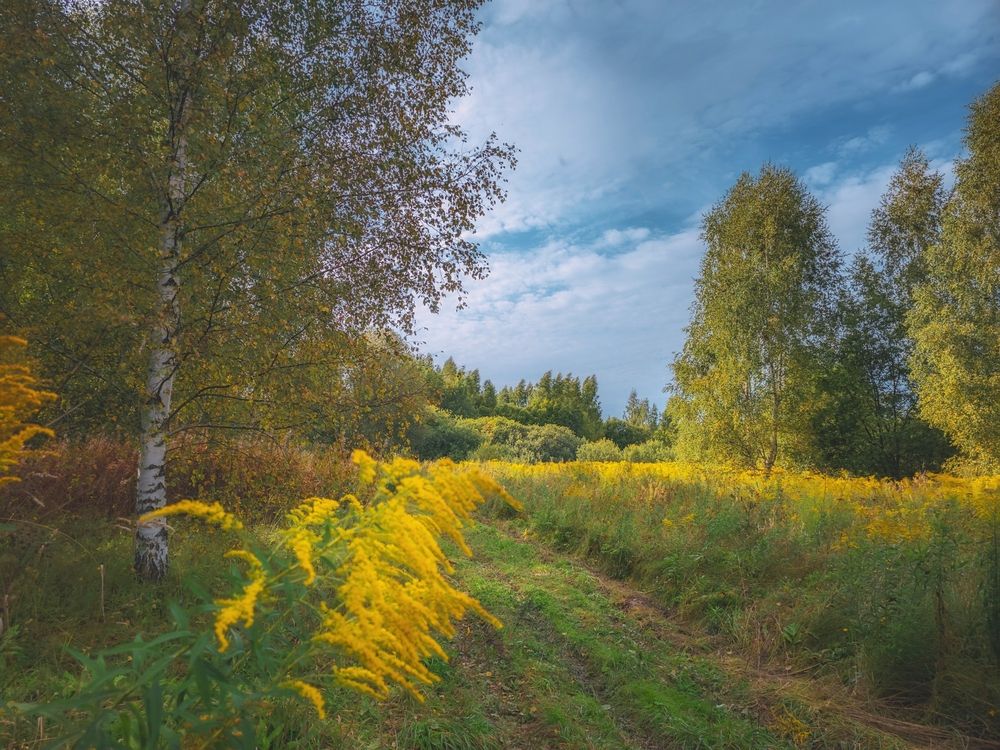 Photograph by Кирилл Сидоров