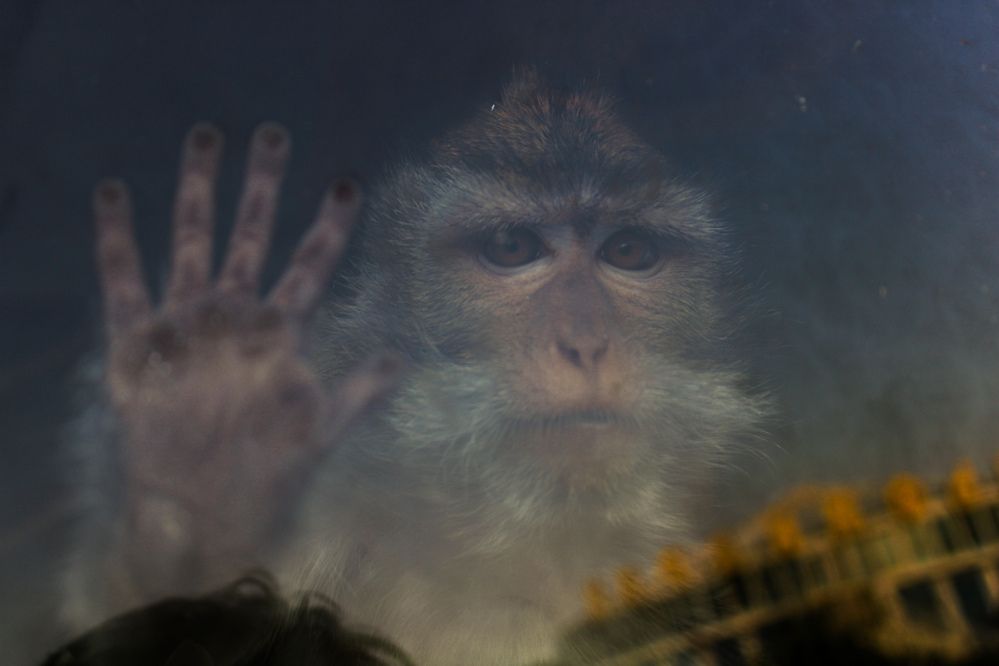 Photograph by Егор Волобуев