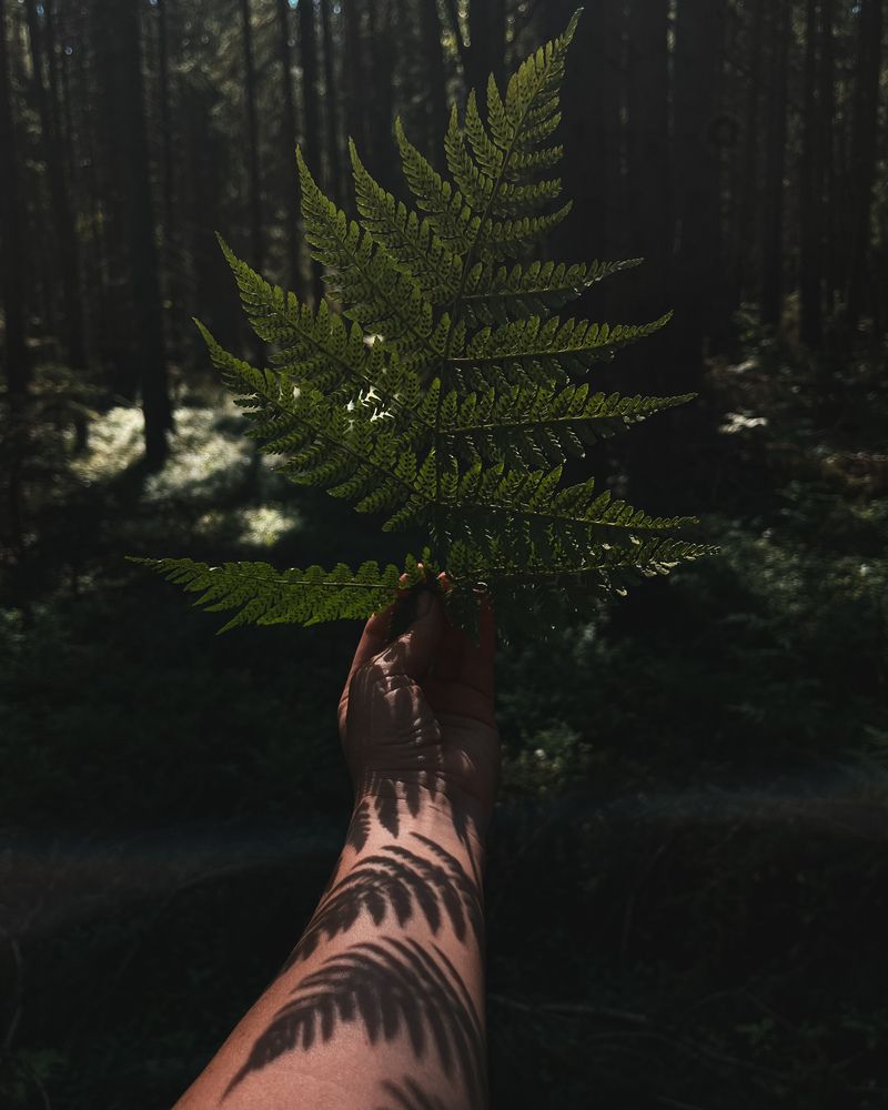 Photograph by Tatyana Remizova