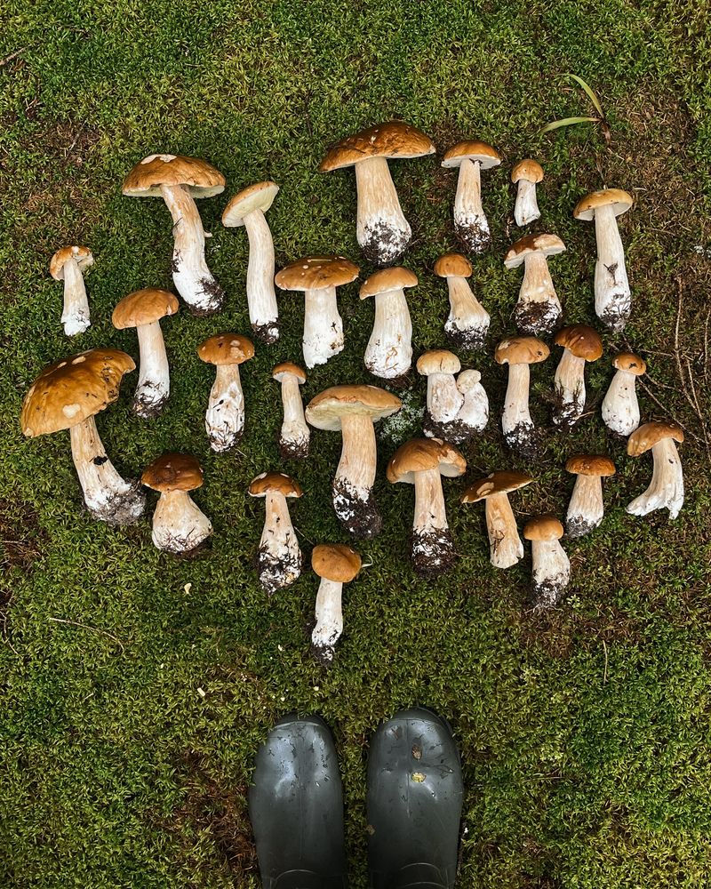 Photograph by Tatyana Remizova