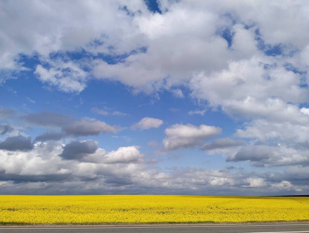 Photograph by Svetlana Aleks