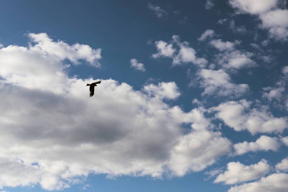 Фотография автора Дарина Фельдман