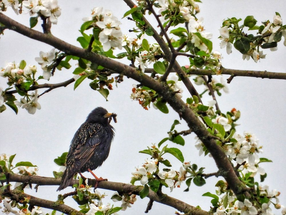 Photograph by Александр Шаварин