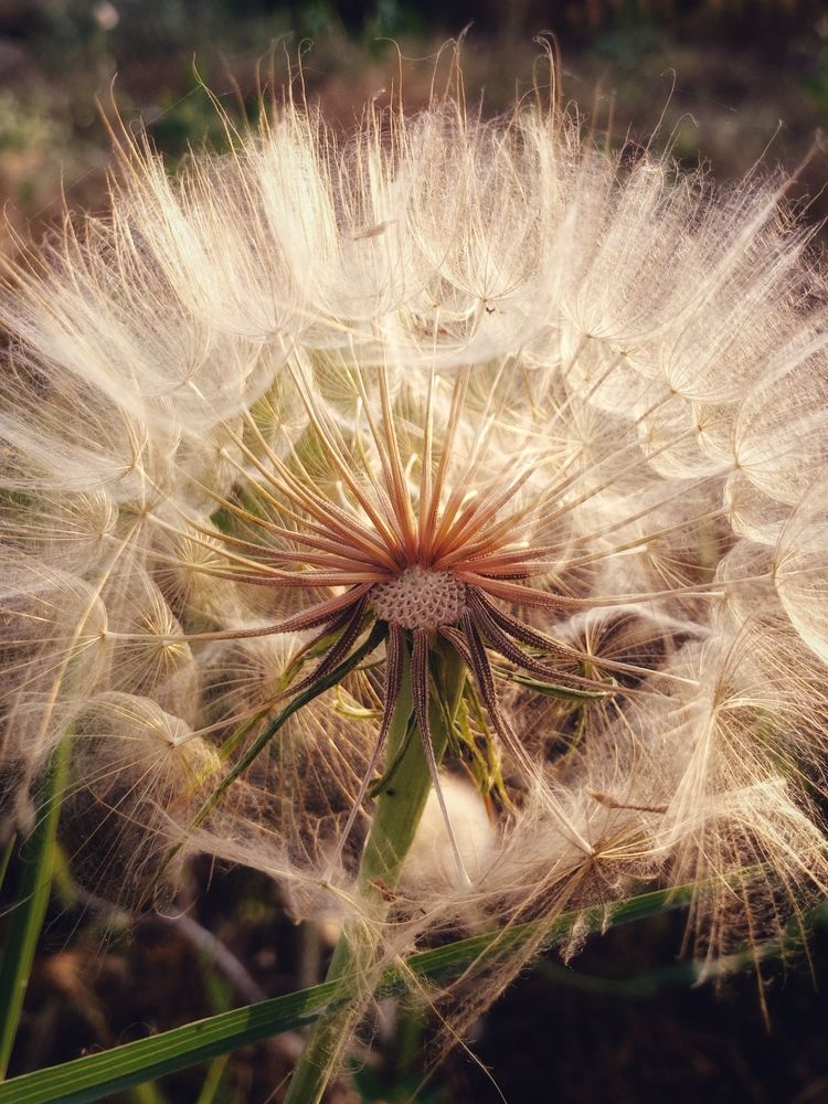 Photograph by Юлия Коврешкина