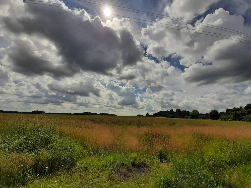 Фотография автора Анна Хмелькова