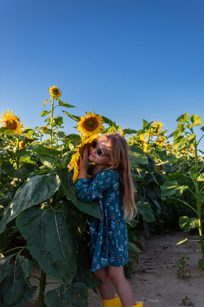 Фотография автора Анна Хмелькова