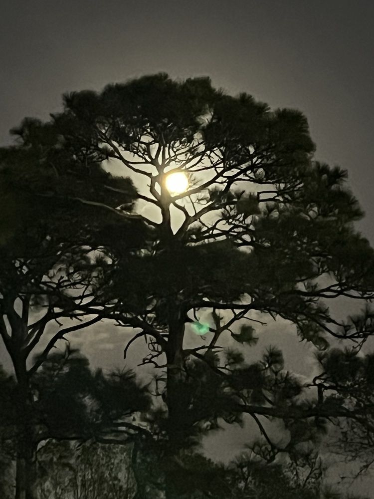 Photograph by Márcio Garcia