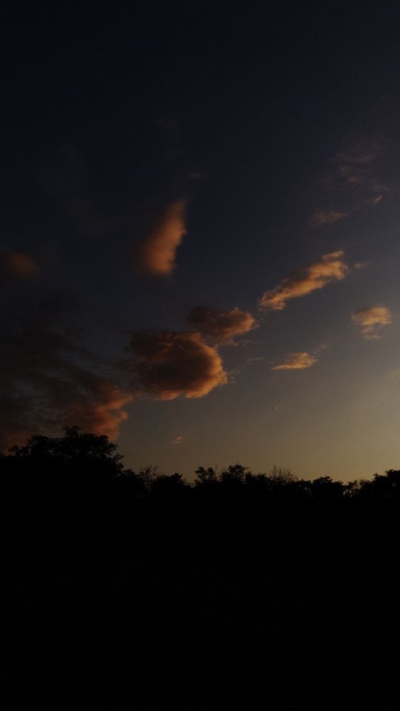 Photograph by Юлия Коврешкина
