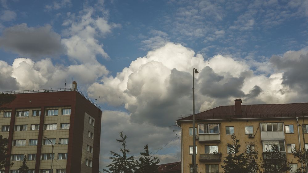 Фотография автора Кушпилева Марина