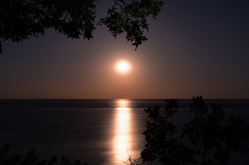 Photograph by Михаил Косолапов