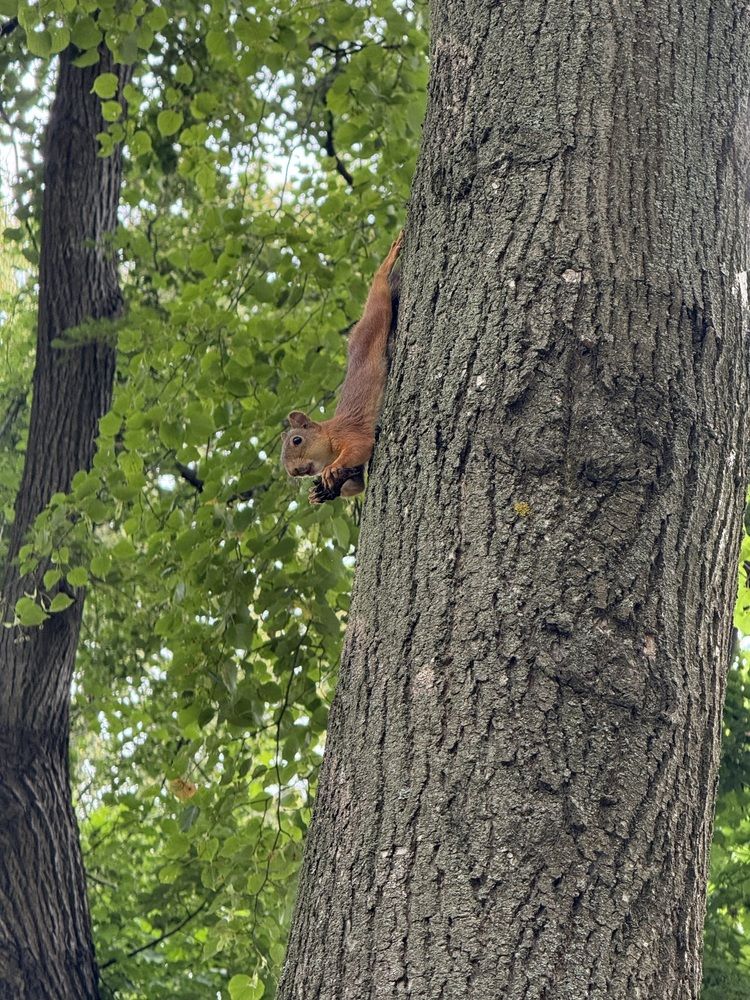 Photograph by Анастасия Германова