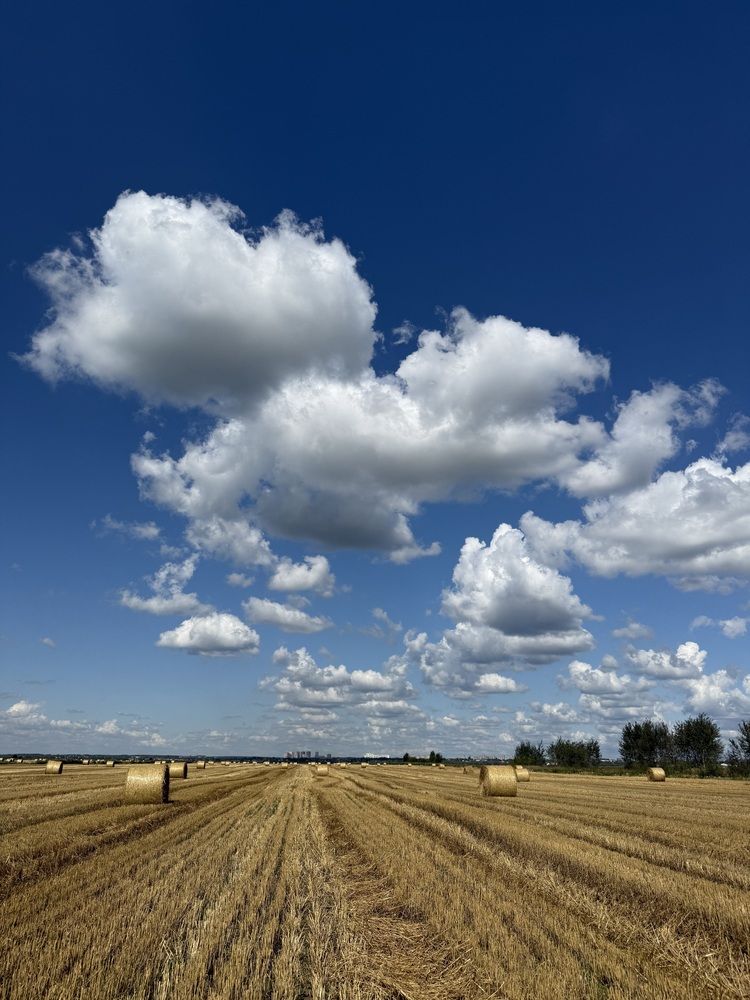 Photograph by Анастасия Германова