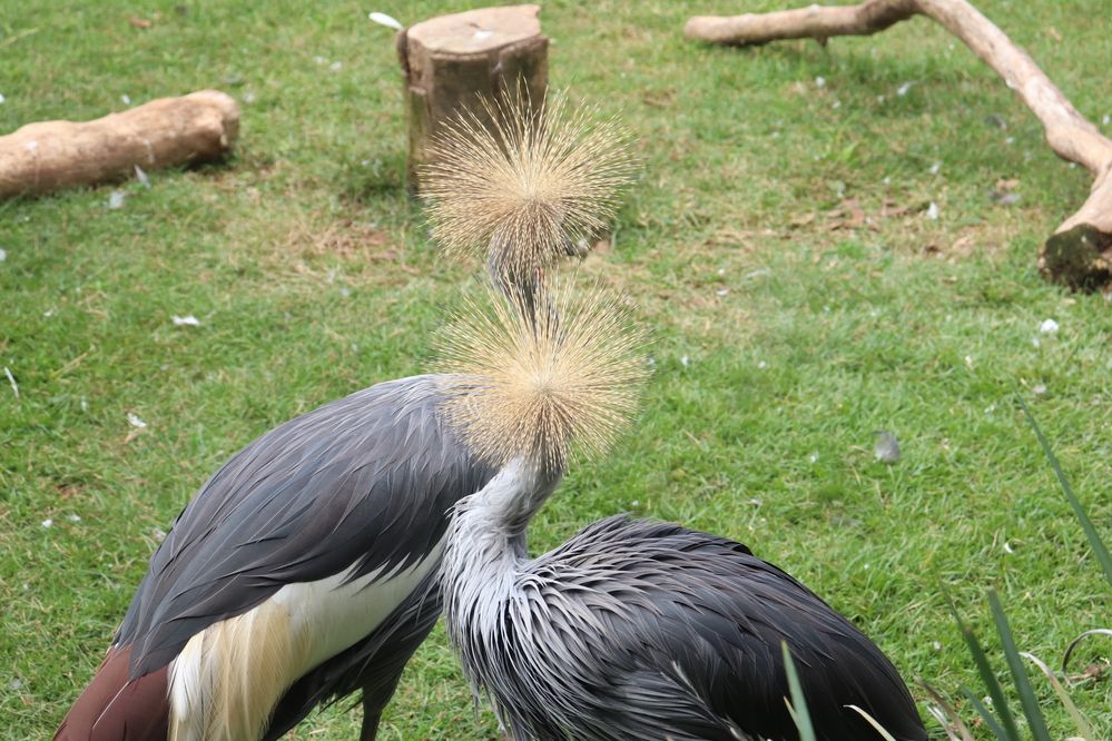 Photograph by Juliana