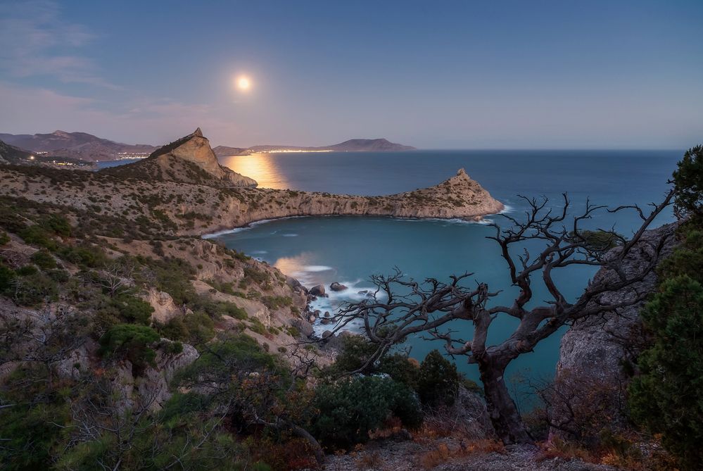 Photograph by Дмитренко Екатерина