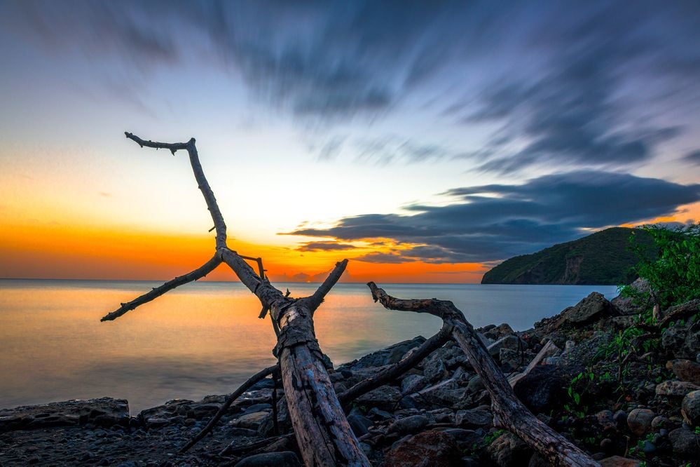 Photograph by Thomas Dunston