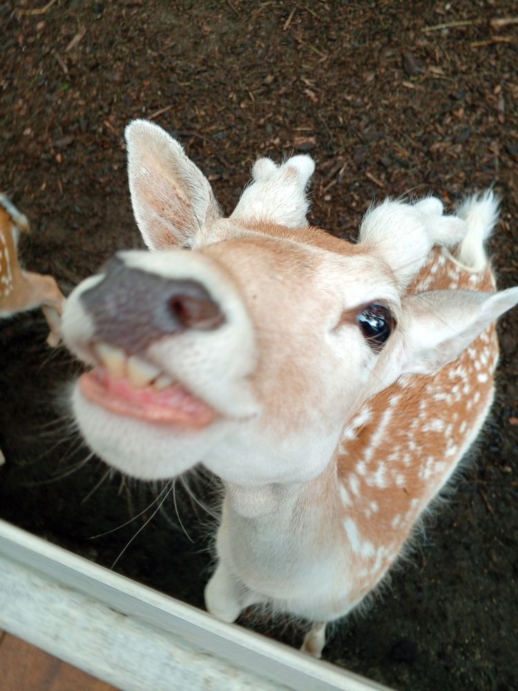 Photo #12529376