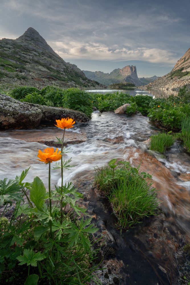 Photograph by Александр Нерозя