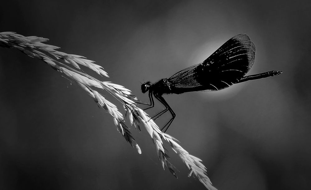 Photograph by Зоя Быкова