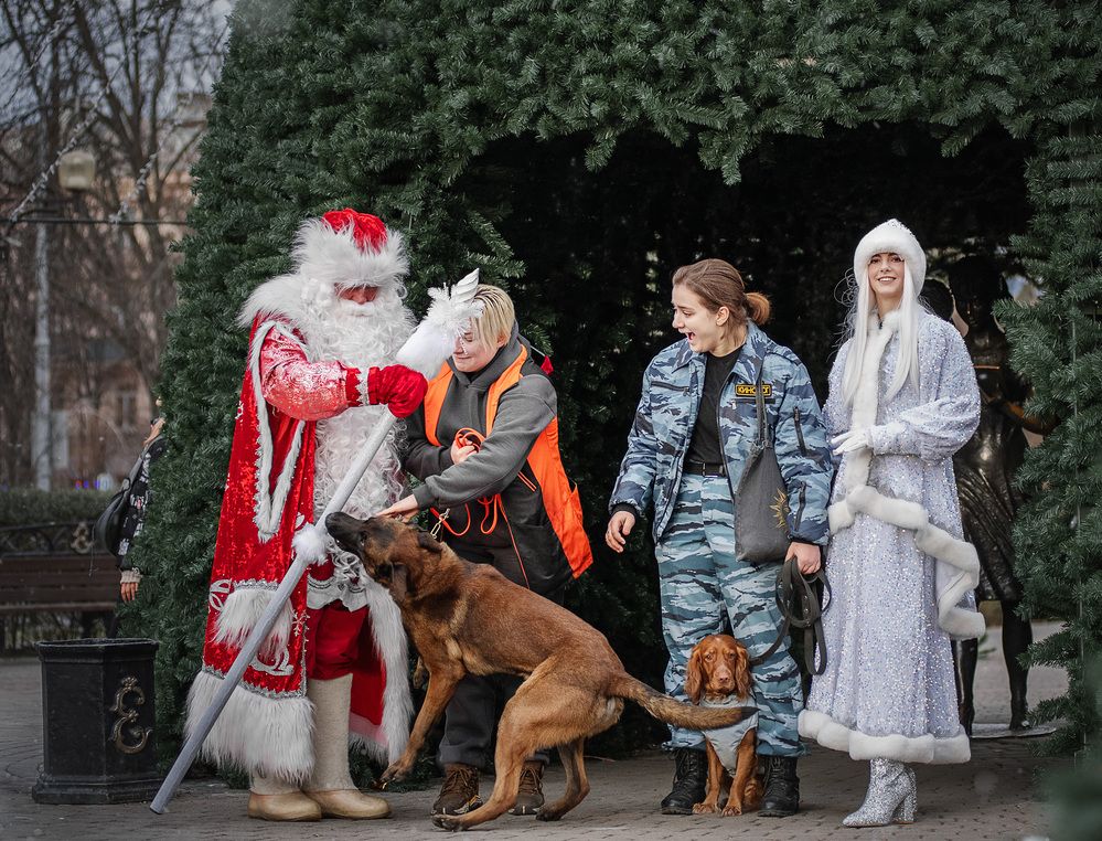 Photograph by Юлия Григорьева