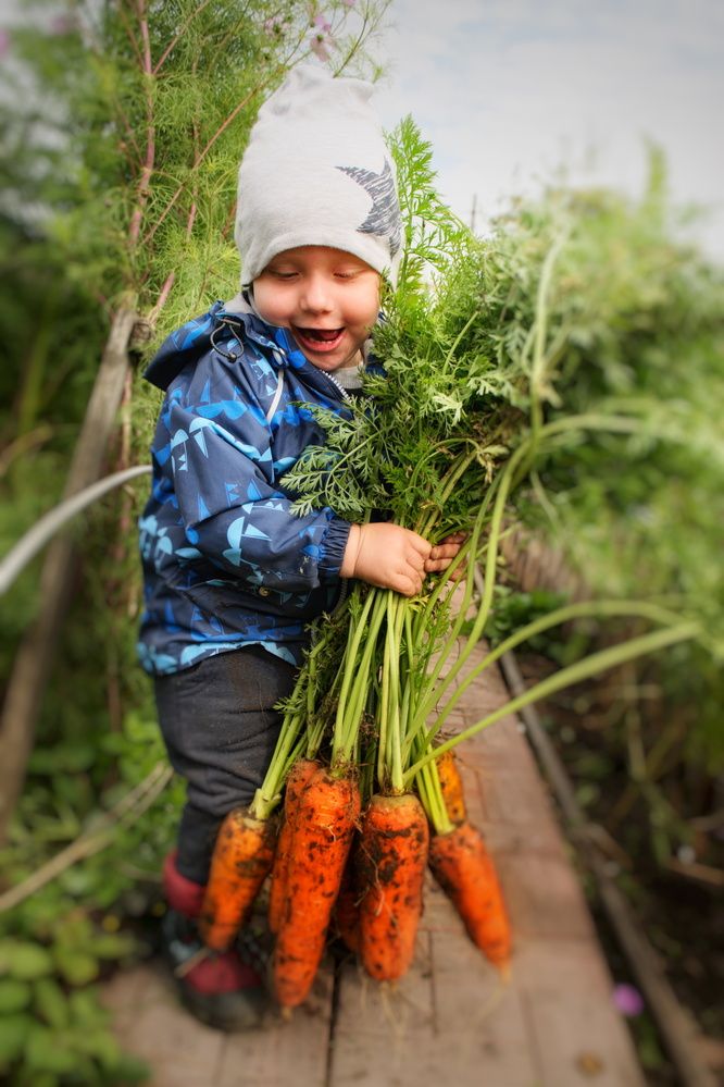 Photograph by Светлана Дмитриева