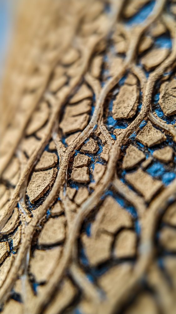 Фотография автора Наталья Алексеева