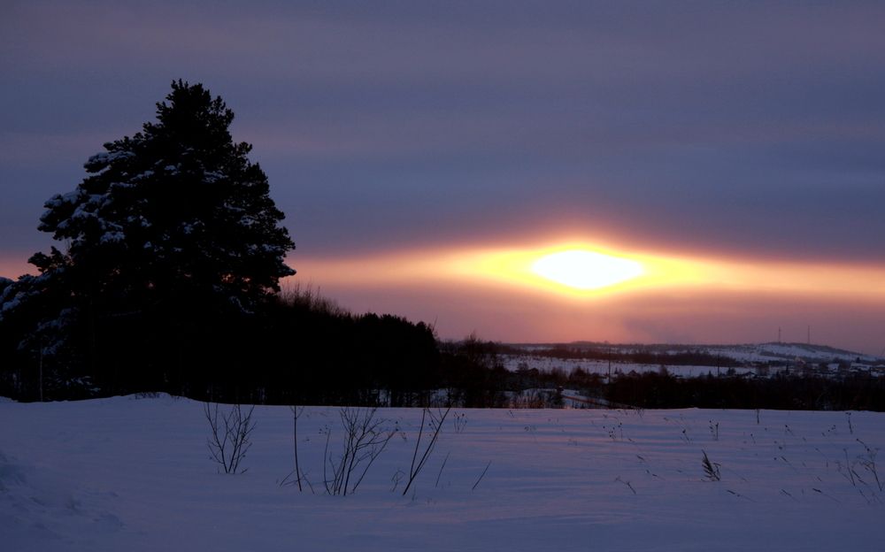 Фотография автора Nelya  Lysenko