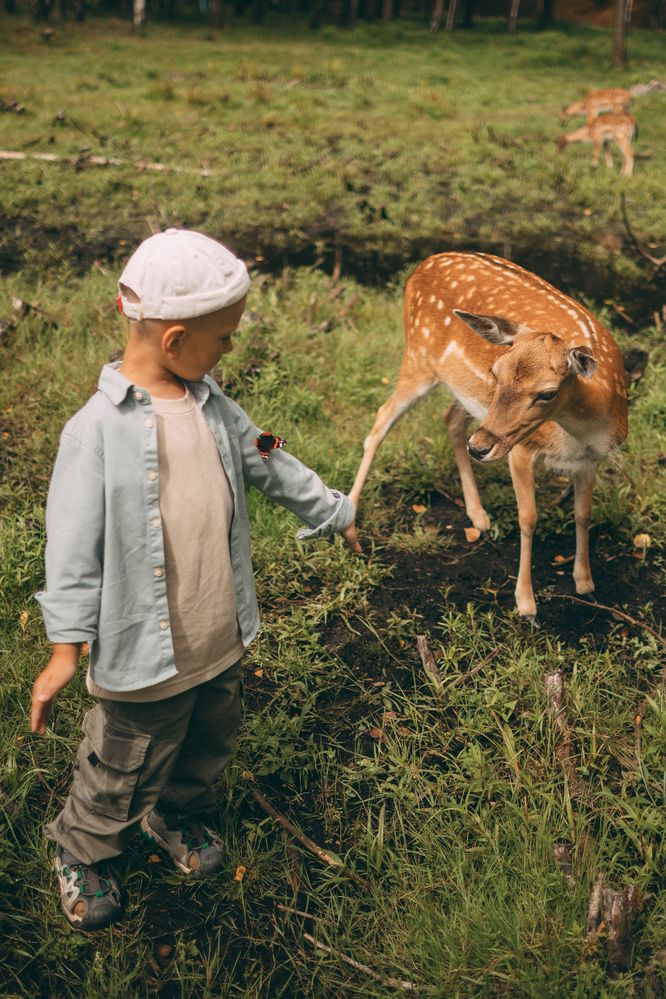 Photograph by Елена Копылова