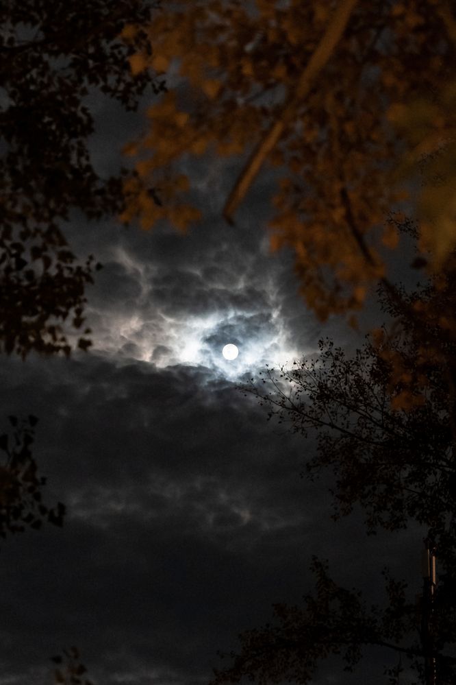 Photograph by Елена Николайчук