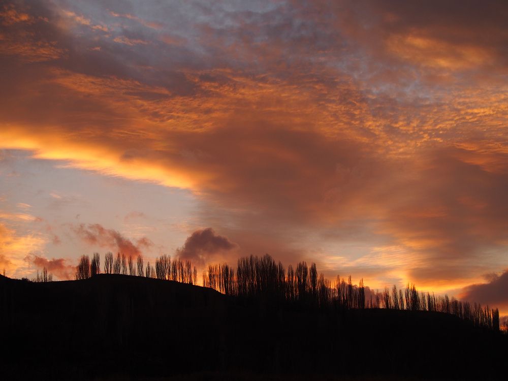 Photograph by Farid Ataei