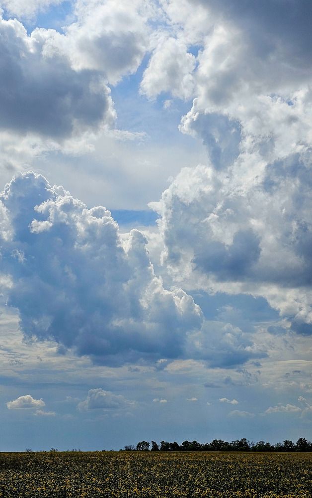 Photograph by Артём Быхалов