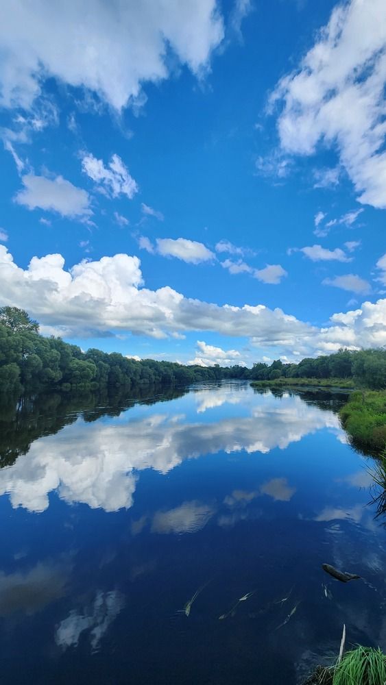 Photograph by Speed Girl