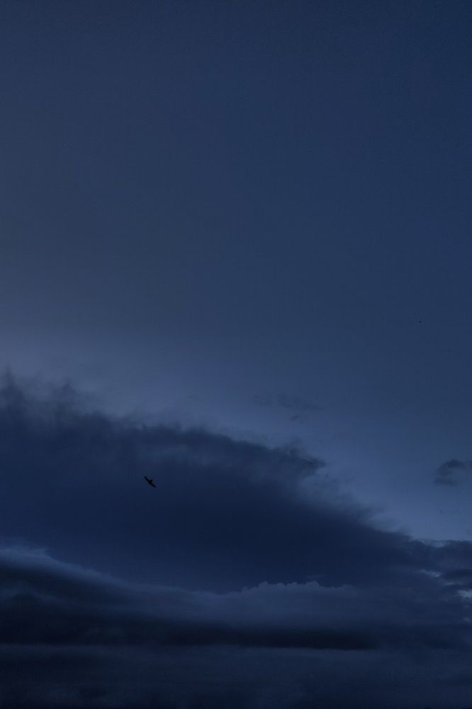 Photograph by Калюнова Наталья