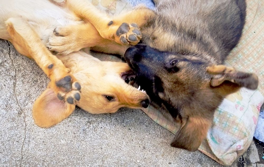 Photograph by Наталья Назаренко