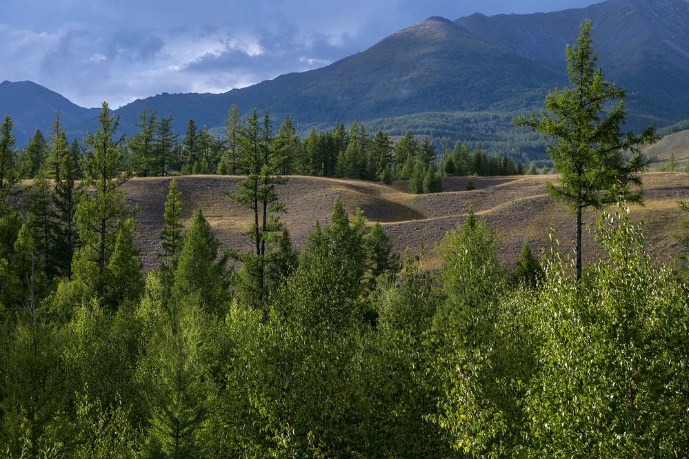 Вечерний свет.