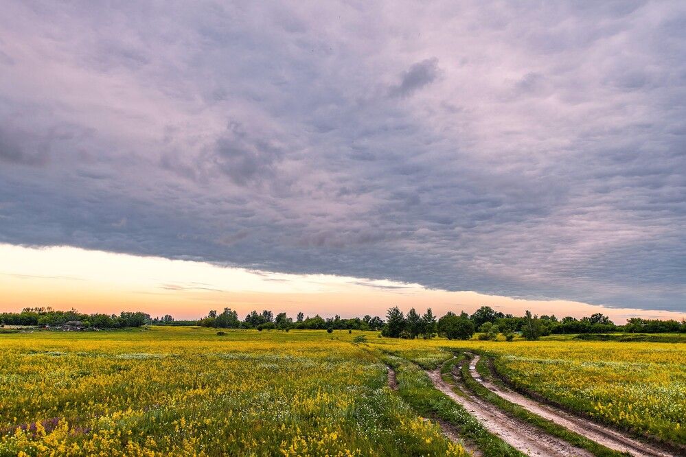 Photograph by Алексей Сиваков
