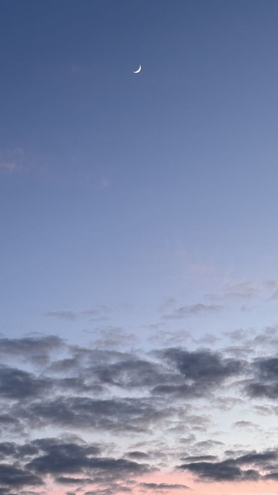 Photograph by Halina Mitsevich